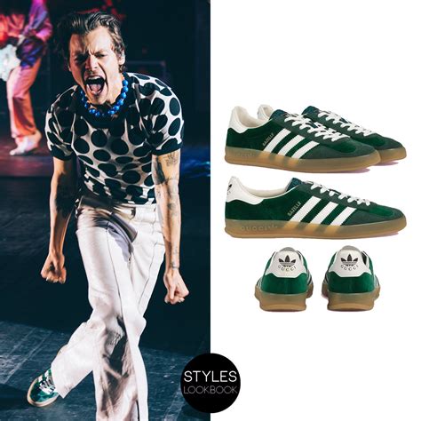 harry styles adidas gucci.